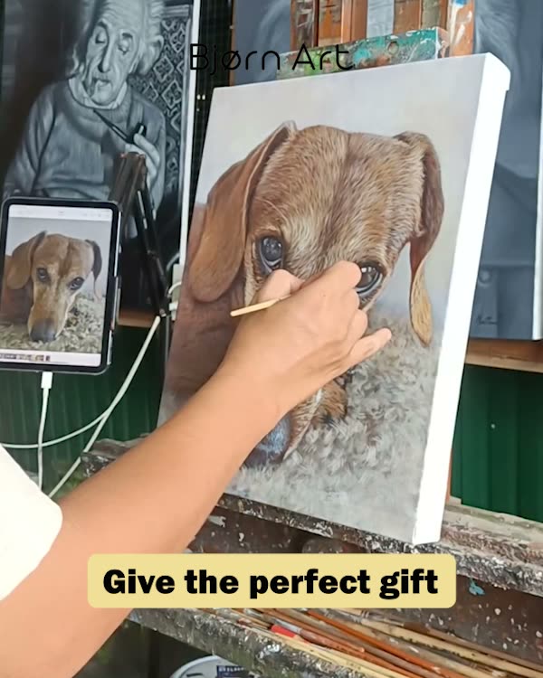 Video Bjørn Art Persoonlijke Schilderijen