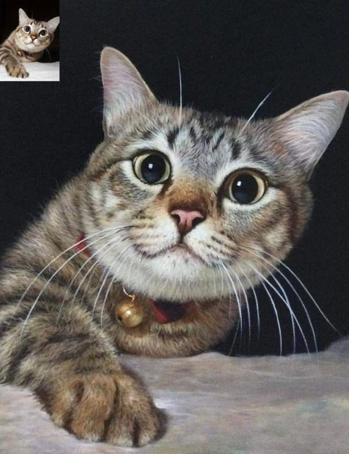 Schilderij van een kat