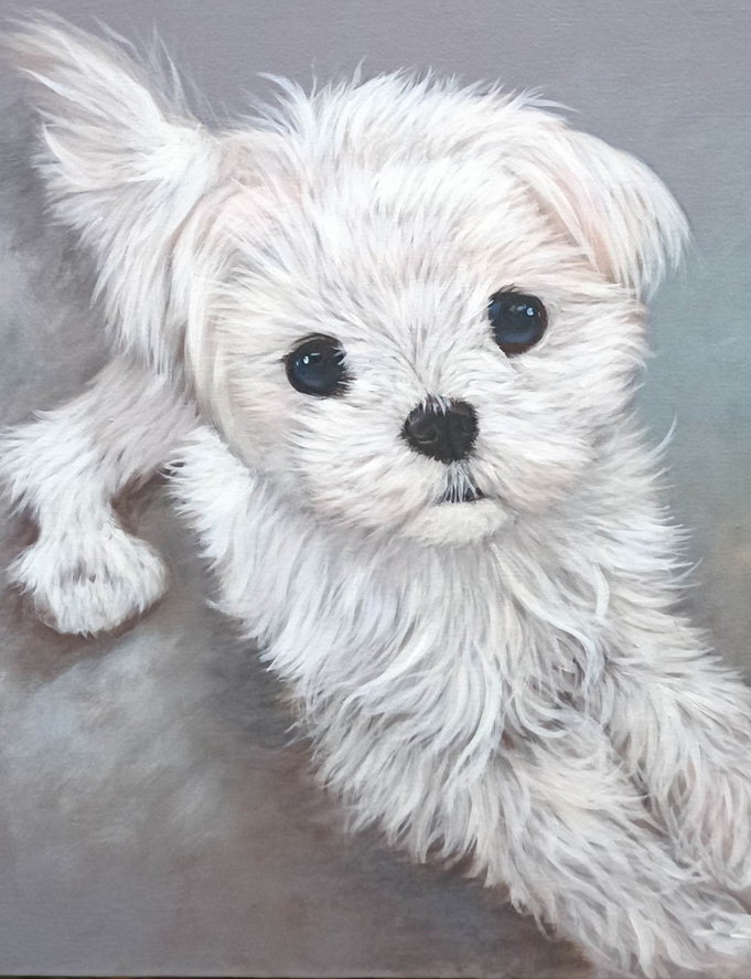 Aangepast portretschilderij witte hond